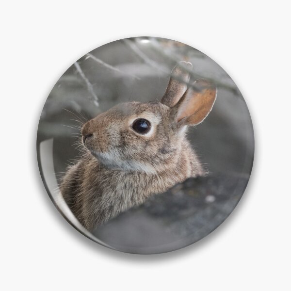 Item preview, Eastern Cottontail designed and sold by LaurenTucker.