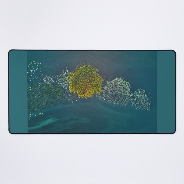 Item preview, Reeds and sorrows designed and sold by Jouko Lehto Photography.
