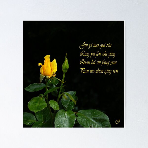 Item preview, Jin yi mei gui zin designed and sold by Gilberte.