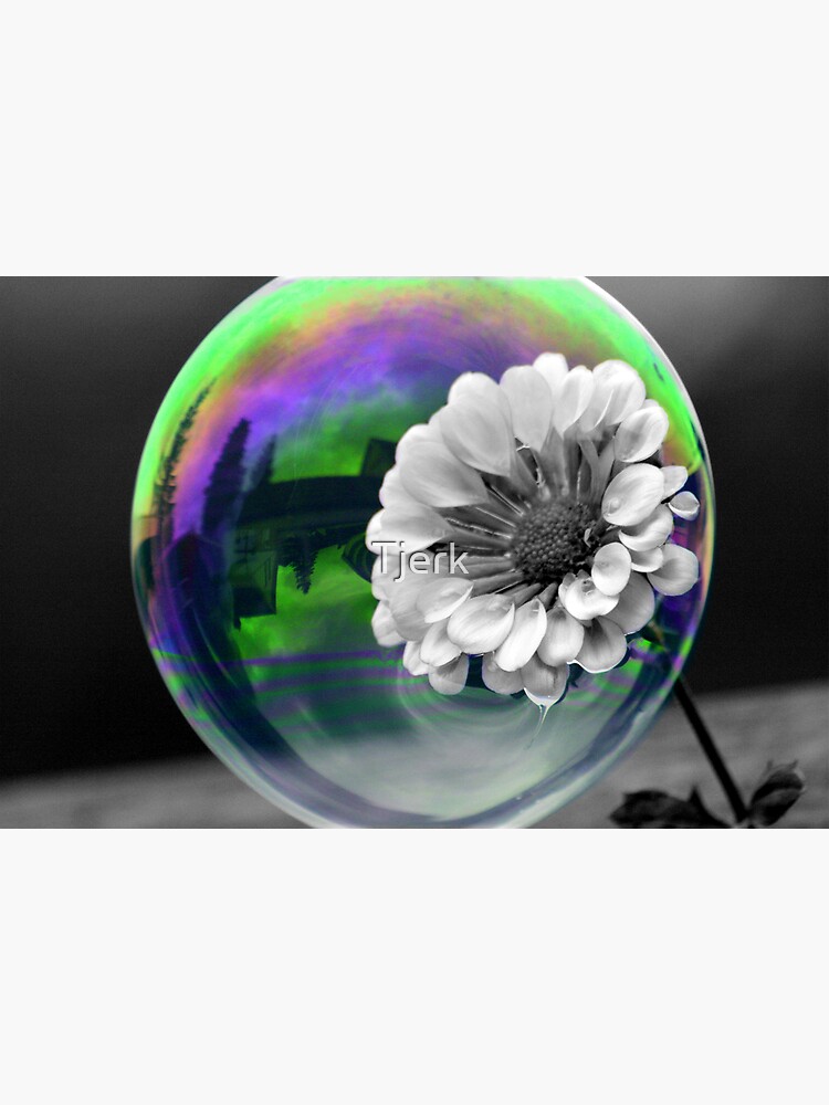 B&W Flower in a bubble by Tjerk
