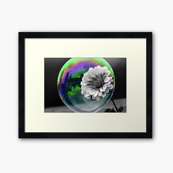 B&W Flower in a bubble Framed Art Print