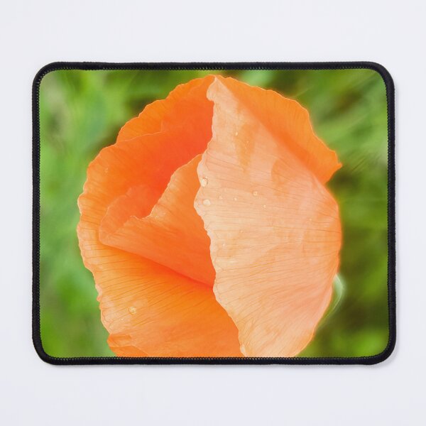 Item preview, Fragile Unfolding #5 - Poppy Flower designed and sold by AHA-flowers.
