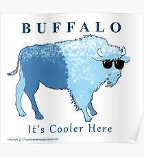Buffalo- It's Cooler Here! Print Poster