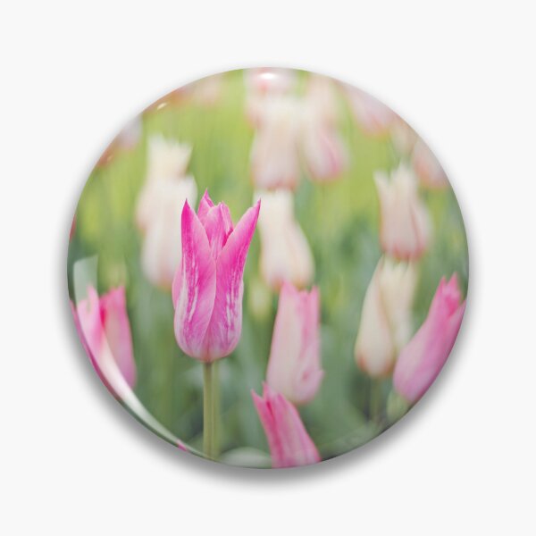 Item preview, Pink Tulips Bokeh designed and sold by Rainbows Galore.
