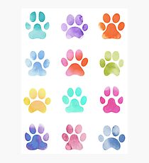 Watercolour Paw Prints, Dog Paws Photographic Print