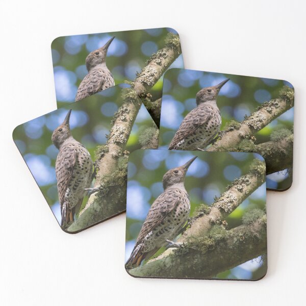 Item preview, Northern Filcker designed and sold by LaurenTucker.