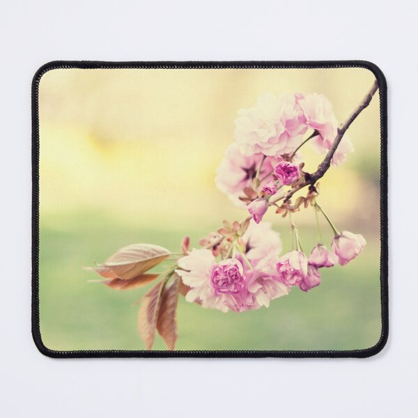 Artikelvorschau, Pastel Cherry Blossoms entworfen und verkauft von Rainbows Galore.