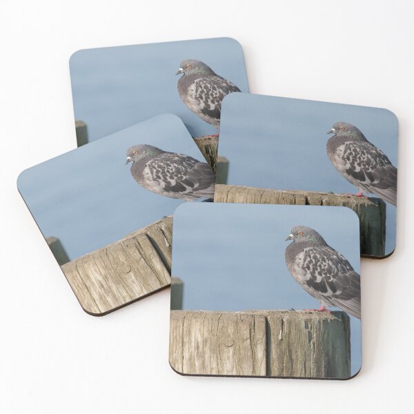 Item preview, Rock Pigeon designed and sold by LaurenTucker.
