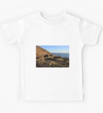 Farmhouse Ruin Kids Tee