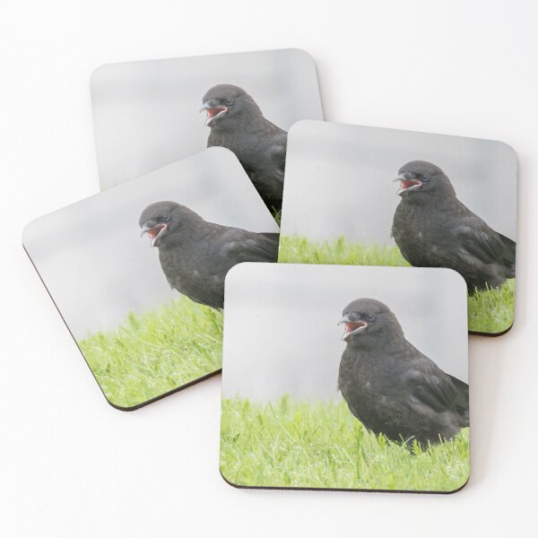 Item preview, American Crow designed and sold by LaurenTucker.