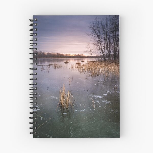 Item preview, Beaver Place designed and sold by Jola Martysz.