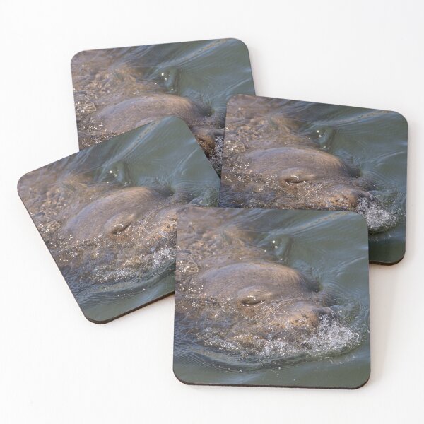 Item preview, Sea Lion designed and sold by LaurenTucker.