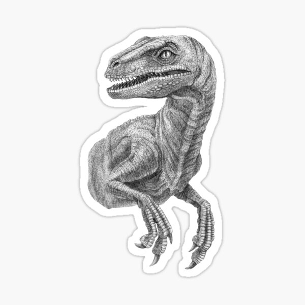 Item preview, Raptor designed and sold by TimeSkiff.