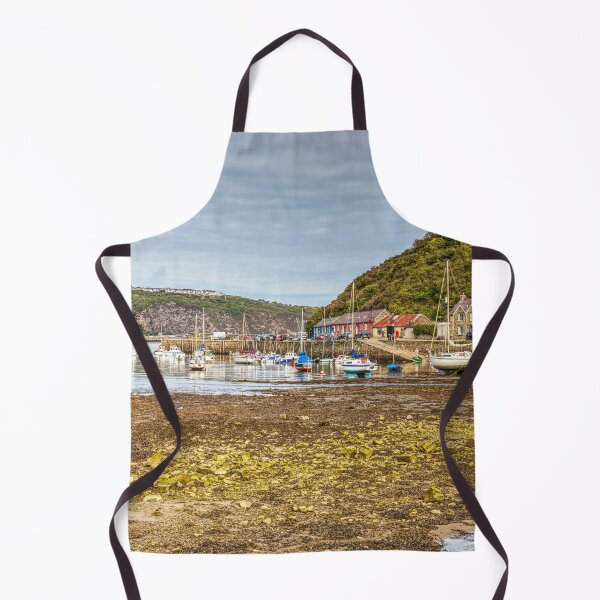 Item preview, Fishguard Lower Town Harbour designed and sold by Paul Thompson Photography.