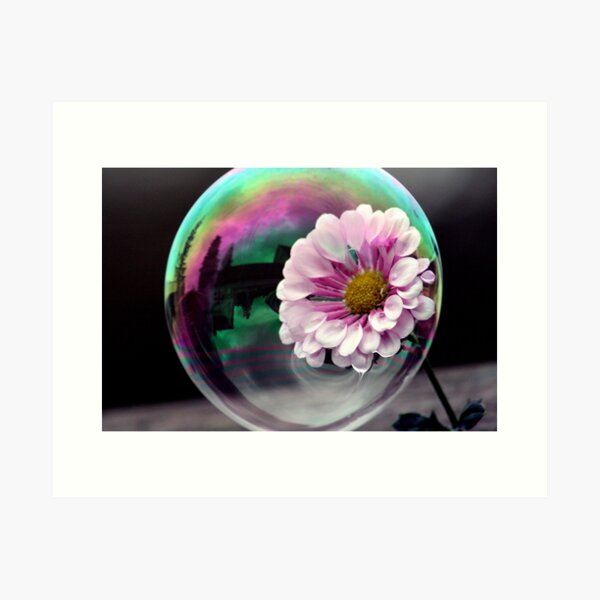 Color flower in a bubble Art Print