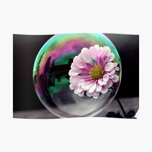 Color flower in a bubble Poster