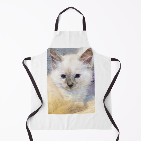 Item preview, Ragdoll mainecoon kitten designed and sold by Fluffycat2020.