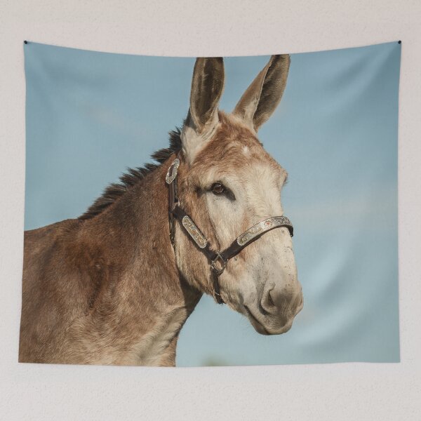 Item preview, Mammoth Jack Portrait I designed and sold by HiddenRockRanch.
