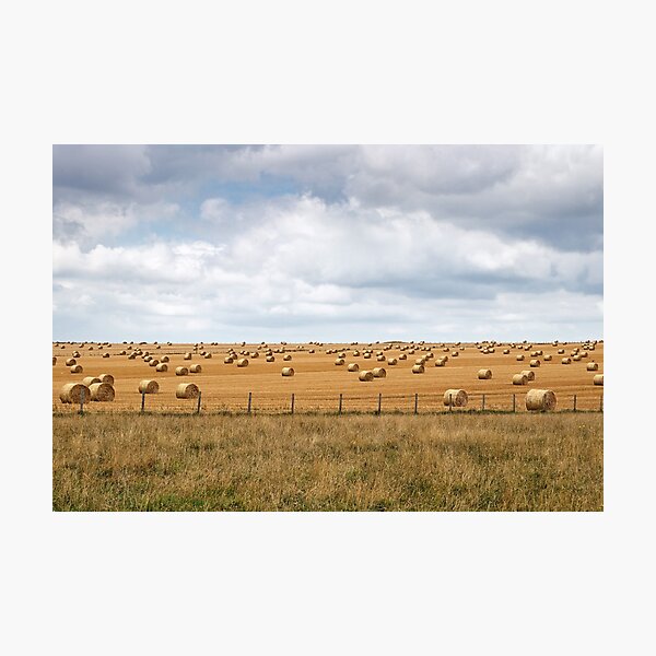 English Hay Field Photographic Print