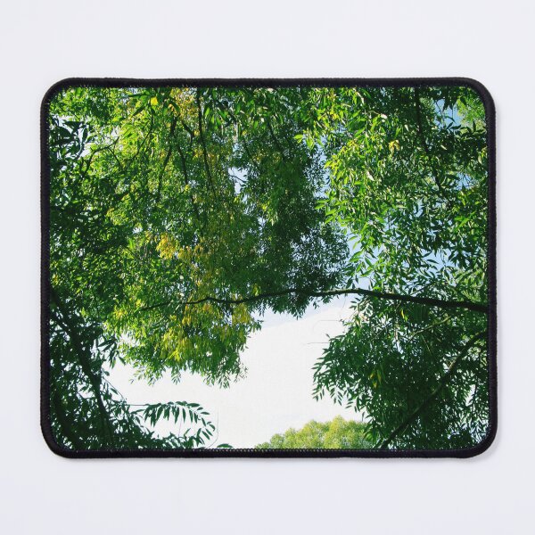 Item preview, Green tree branches photography | Tree branches photography designed and sold by lausn.