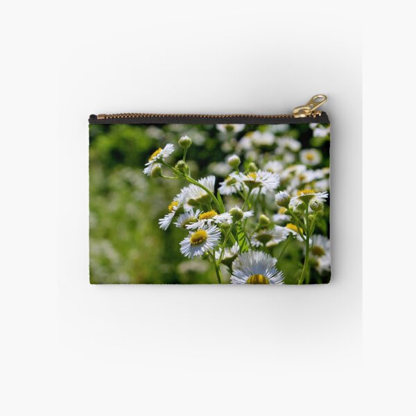 Item preview, Meadow Flowers: Daisy Fleabane designed and sold by Kathleen Daley.