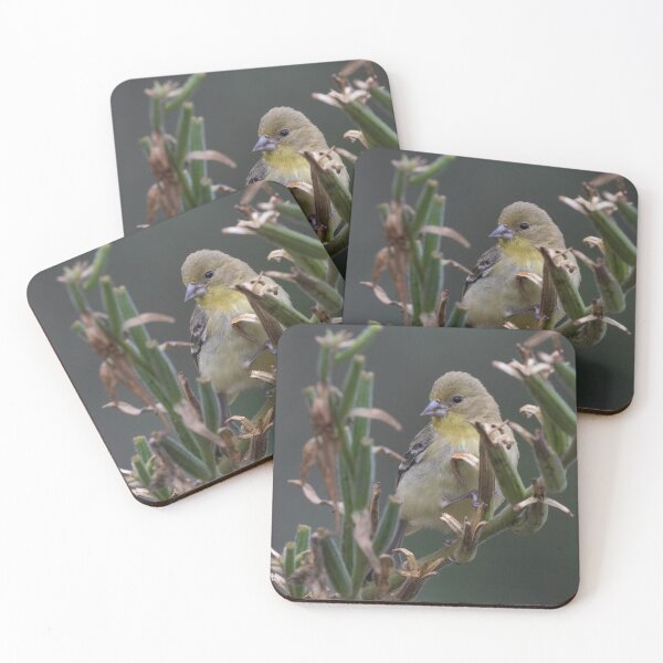 Item preview, Lesser Goldfinch designed and sold by LaurenTucker.