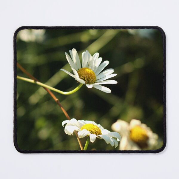 Item preview, Chamomile designed and sold by Anna Prendergast.
