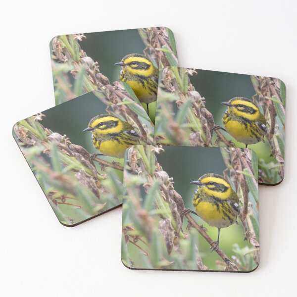 Item preview, Townsend's Warbler designed and sold by LaurenTucker.