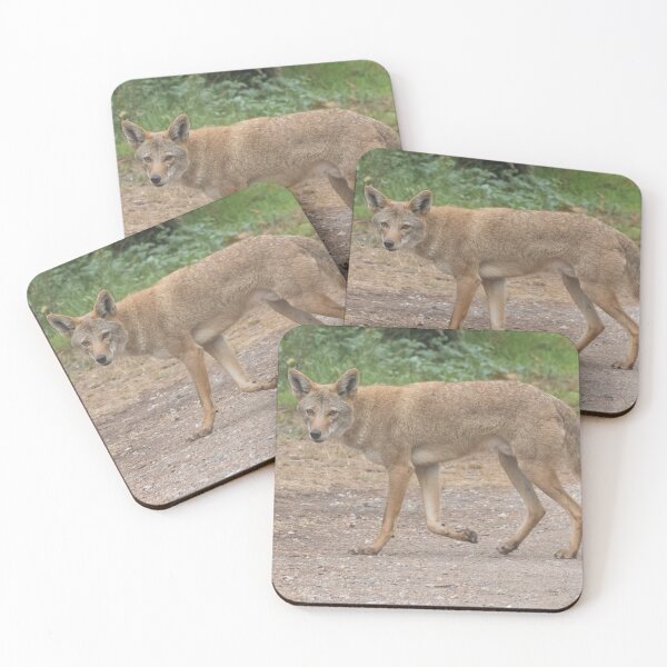 Item preview, Coyote designed and sold by LaurenTucker.