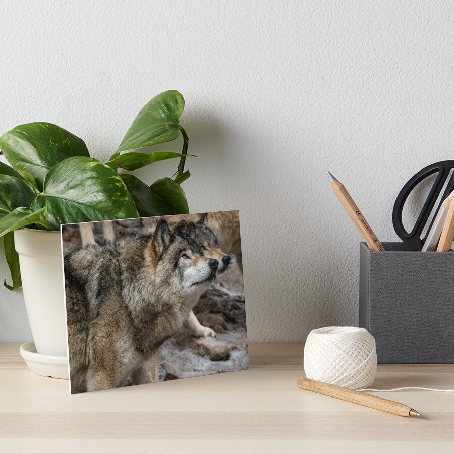 Item preview, Art Board Print designed and sold by jaydee1400.