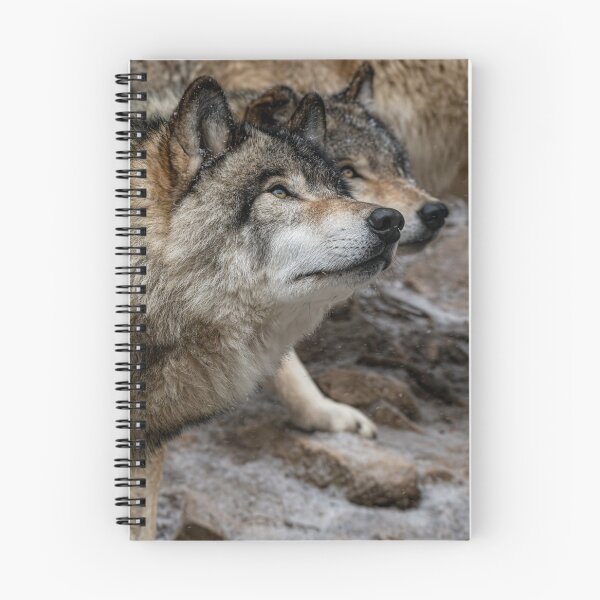 Item preview, Timber Wolves designed and sold by Michael Cummings.