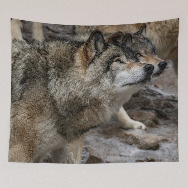 Item preview, Timber Wolves designed and sold by Michael Cummings.