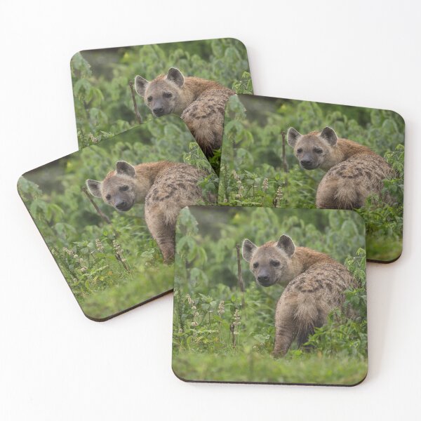 Item preview, Spotted Hyena (Crocuta crocuta) designed and sold by Yair Karelic.