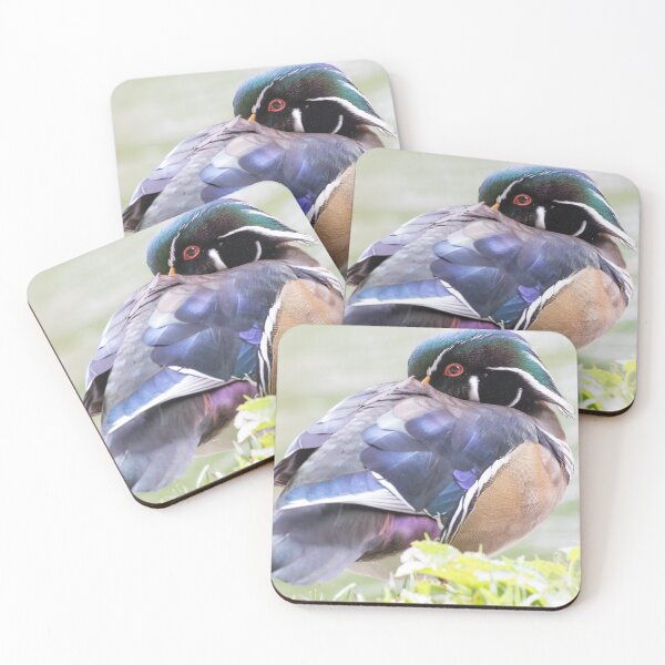 Item preview, Wood Duck designed and sold by LaurenTucker.