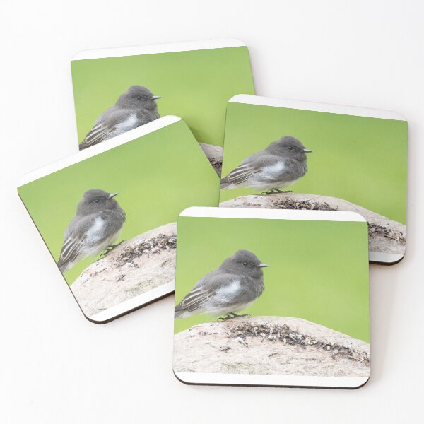 Item preview, Black Phoebe designed and sold by LaurenTucker.