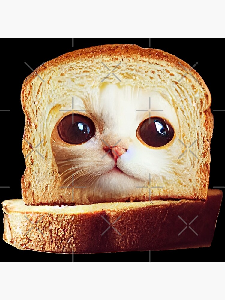 Cat with toast outlet on head