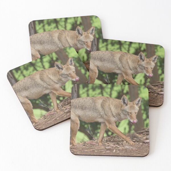 Item preview, Coyote designed and sold by LaurenTucker.