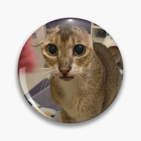 Item preview, cat ratios you designed and sold by Akusenkuto.