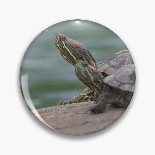 Item preview, Terrapins designed and sold by LaurenTucker.
