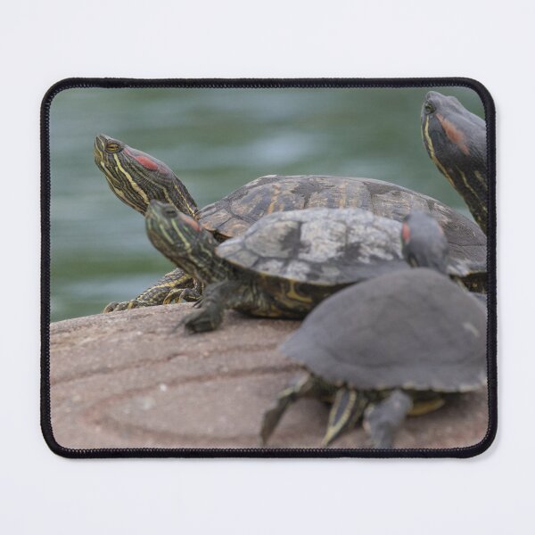 Item preview, Terrapins designed and sold by LaurenTucker.