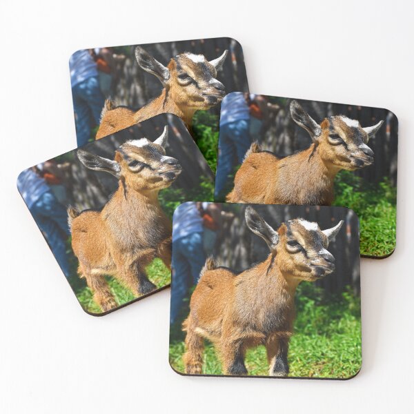 Item preview, offended baby goat | wildlife photography designed and sold by Mii-pics.