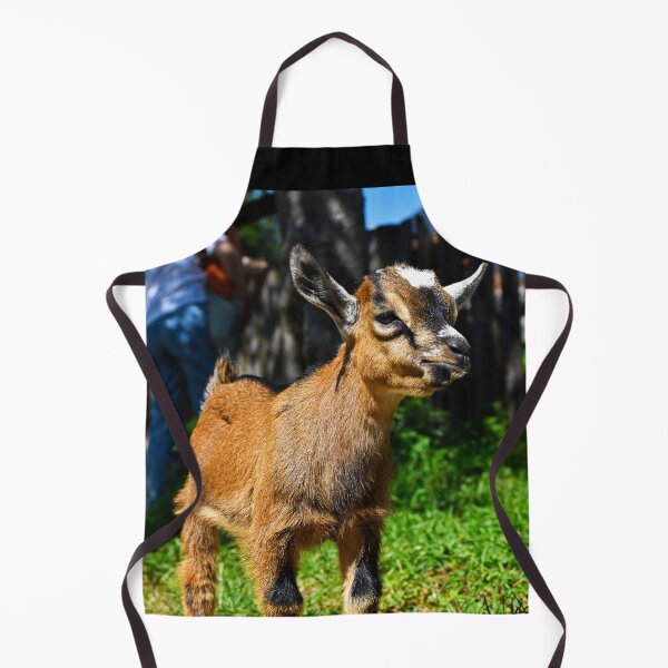 Item preview, offended baby goat | wildlife photography designed and sold by Mii-pics.