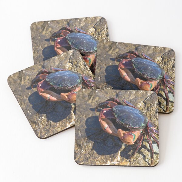 Item preview, Striped Shore Crab designed and sold by LaurenTucker.