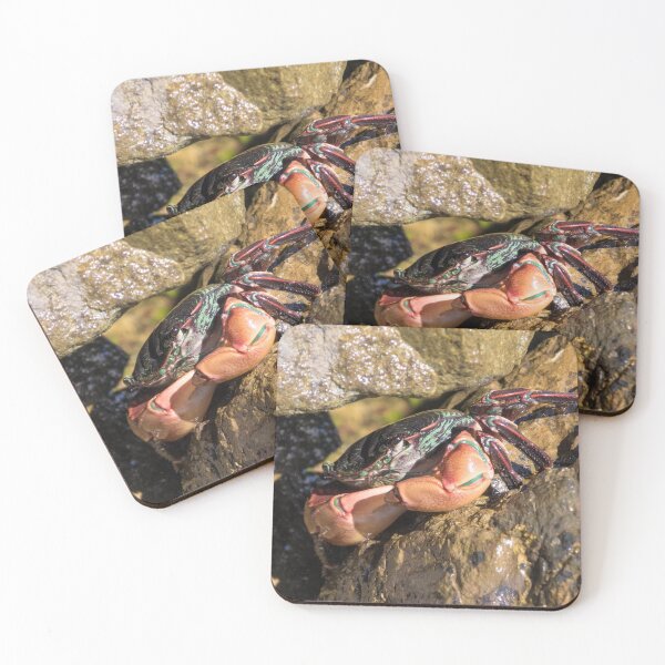 Item preview, Striped Shore Crab designed and sold by LaurenTucker.