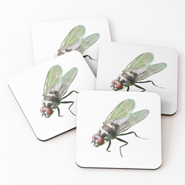 Item preview, Fly designed and sold by RickE.