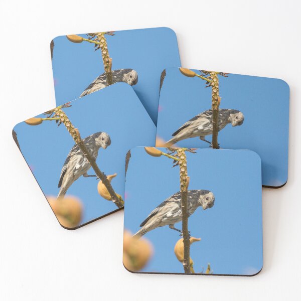 Item preview, House Finch designed and sold by LaurenTucker.
