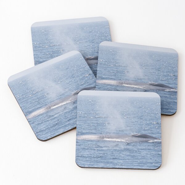 Item preview, Blue Whale designed and sold by LaurenTucker.