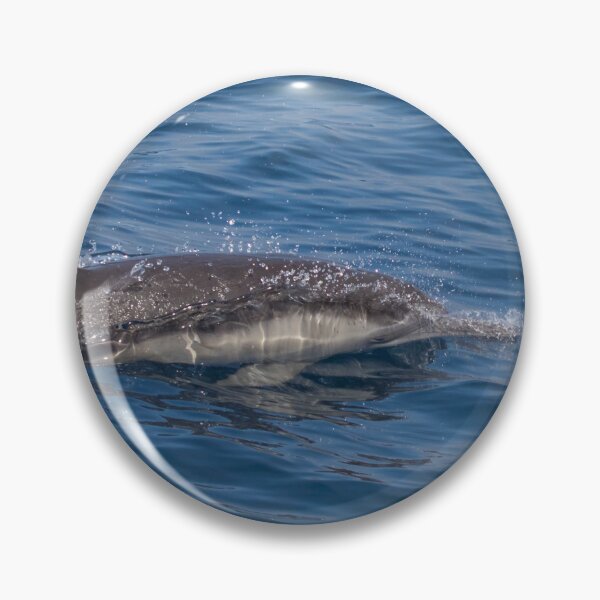 Item preview, Long Beaked Common Dolphin designed and sold by LaurenTucker.