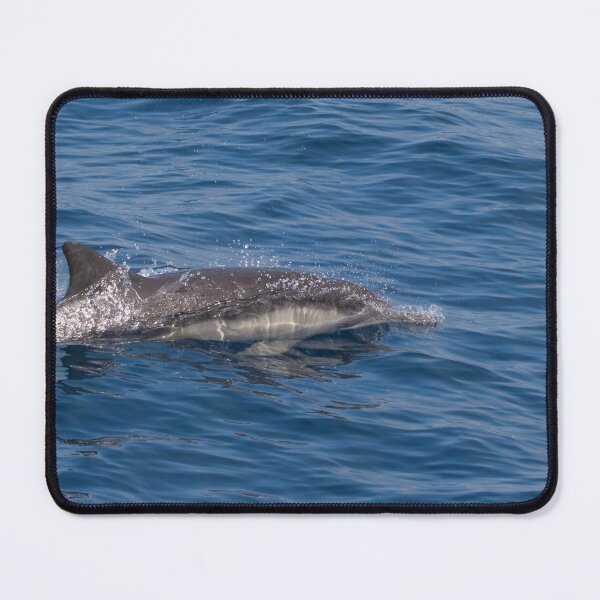 Item preview, Long Beaked Common Dolphin designed and sold by LaurenTucker.