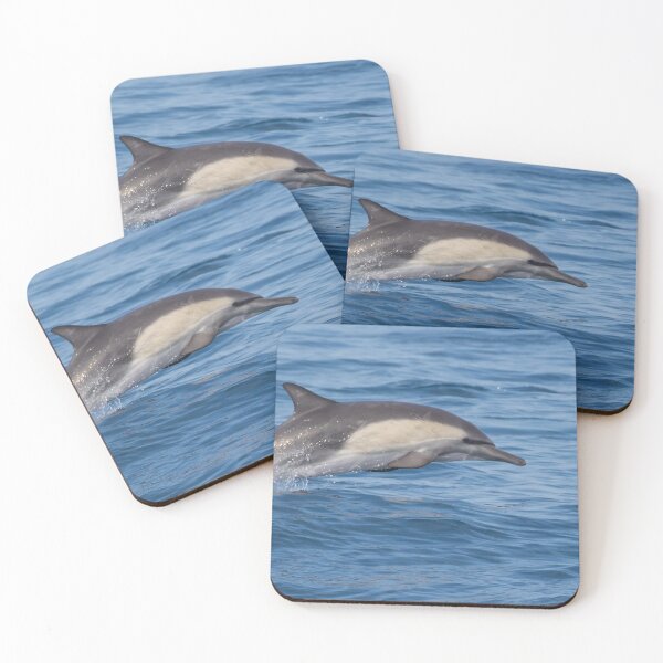 Item preview, Long Beaked Common Dolphin designed and sold by LaurenTucker.